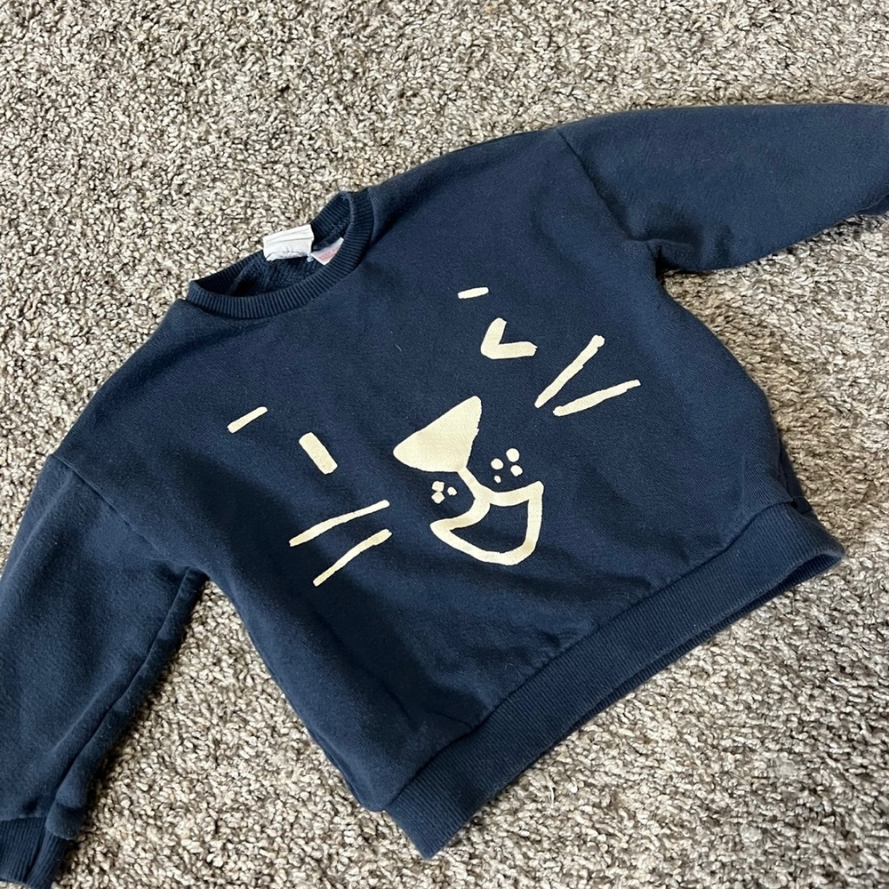 Zara sweater